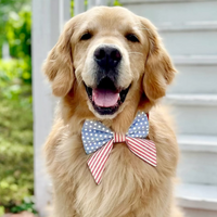 #Modeled by Harry (70lbs) in a Large lady bow
