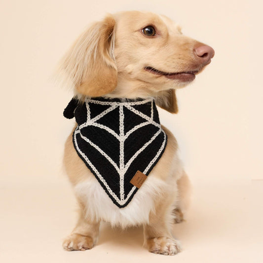 #Modeled by Finley (12lbs) in Small