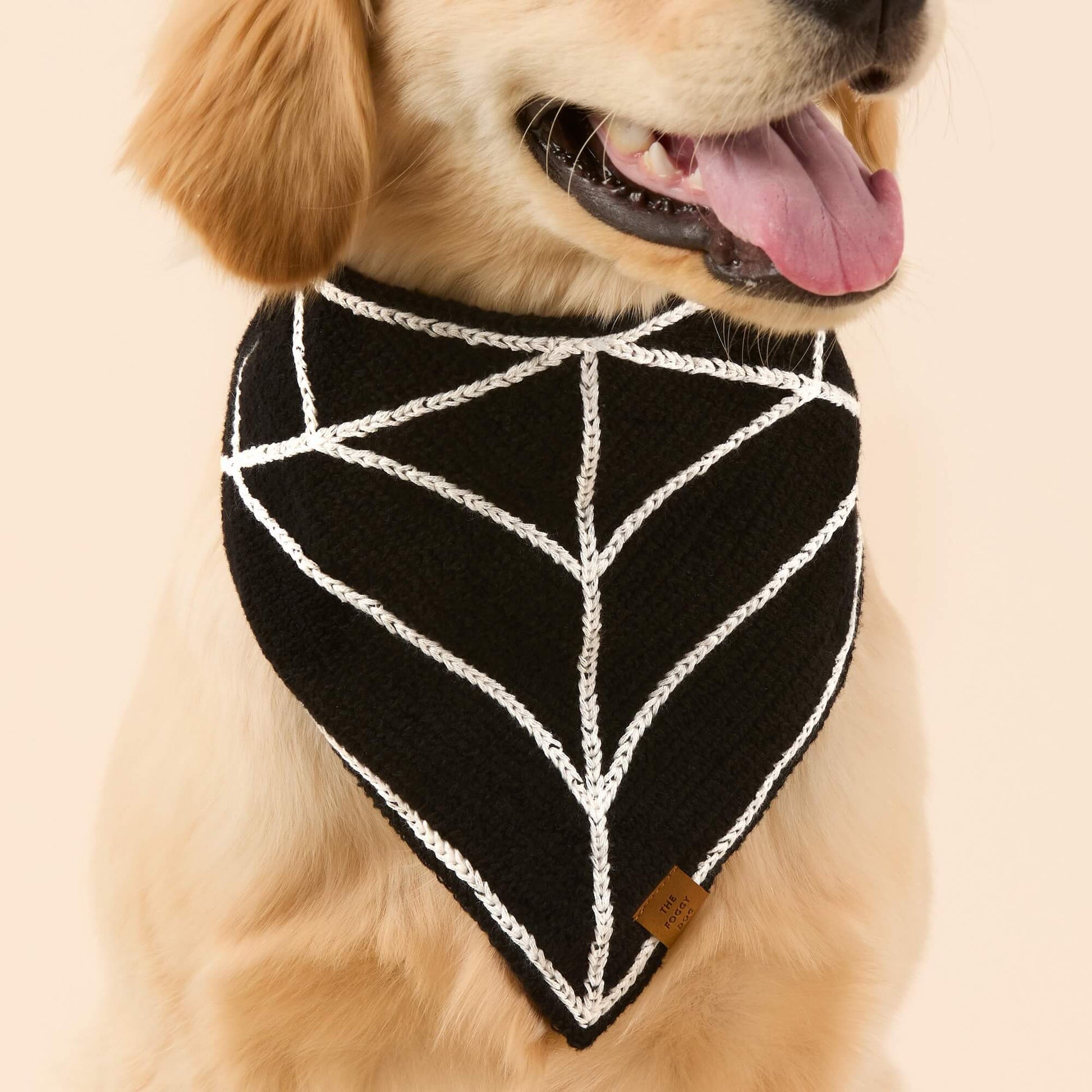 #Modeled by Peanut (40lbs) in Large