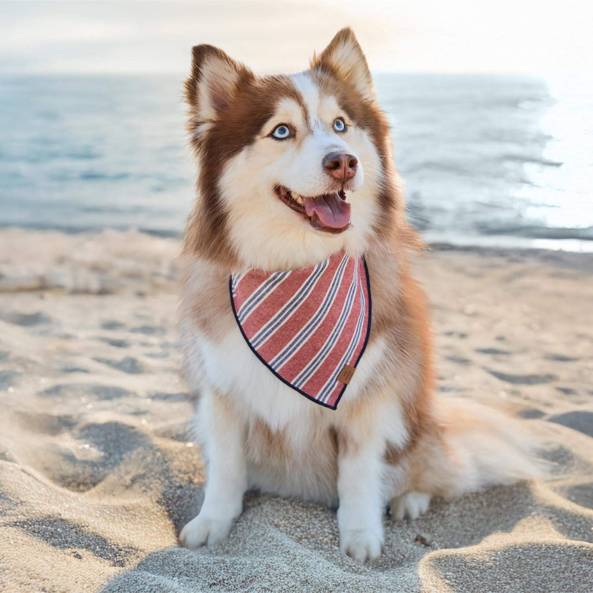 #Modeled by Rouka (36lbs) in Medium