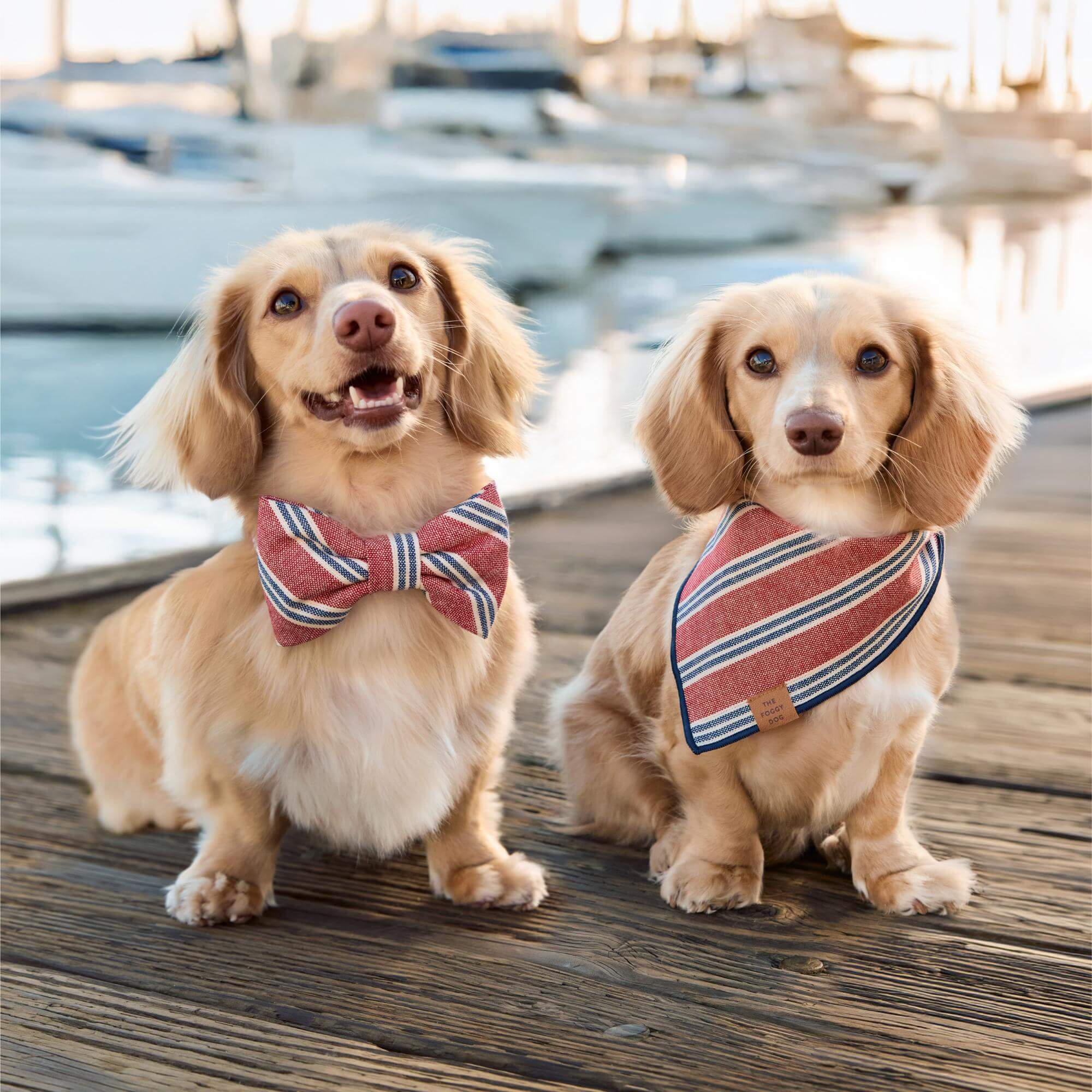 Nantucket Stripe Dog Bandana – The Foggy Dog
