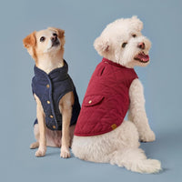 #Modeled by Fauna and Mochi (14lbs) both in Small