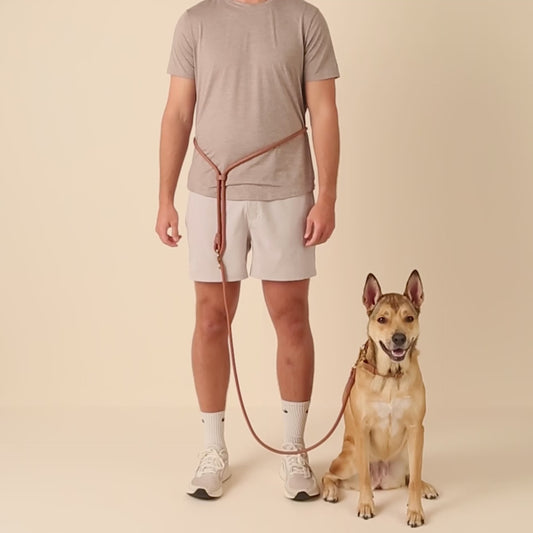 Active Adventure Collar Walk Set, Azure view 2