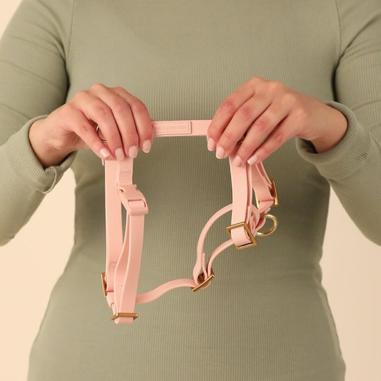 Active Flex Dog Harness - With Handle (M/L), Shell