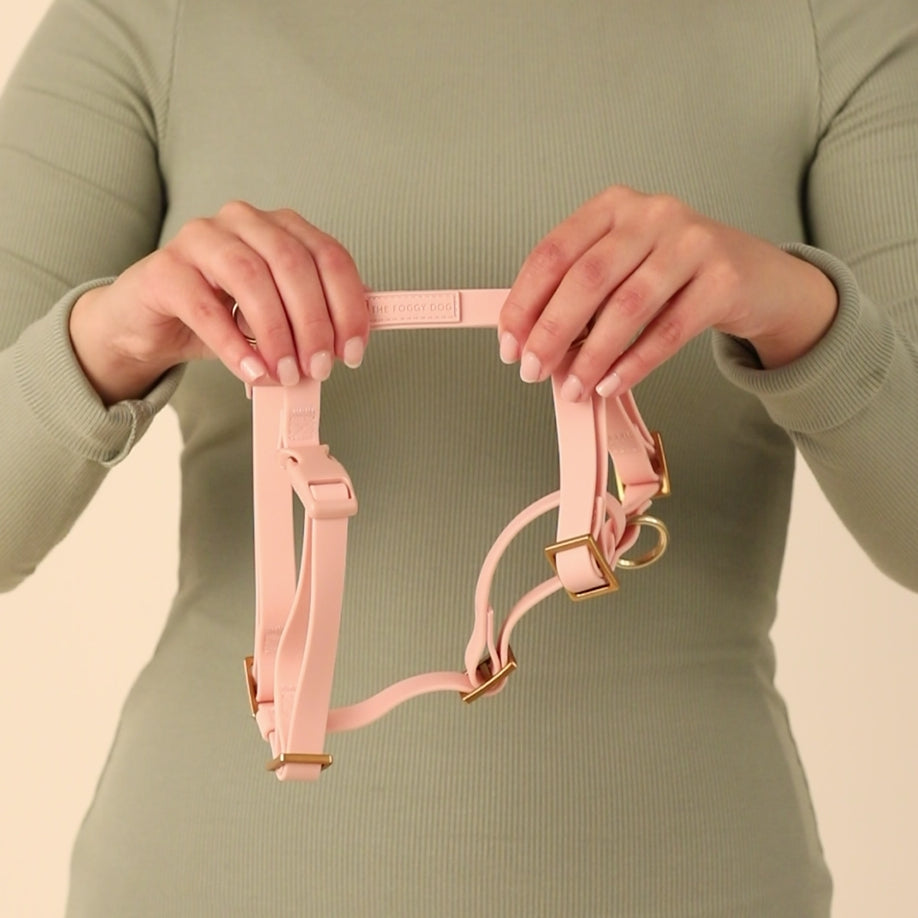 Active Flex Dog Harness - With Handle (M/L), Shell view 11