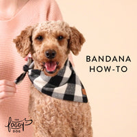 Birthday Girl Embroidered Dog Bandana view 4