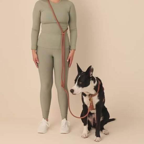 Active Hands-Free Leash, The Foggy Dog
