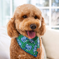 #Modeled by Lennon (25lbs) in Medium