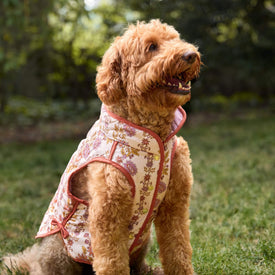 #Modeled by Bentley (45lbs) in Large