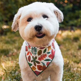 #Modeled by Winnie (17lbs) in Small