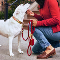 #Modeled by Ellie (45lbs) with a Standard leash