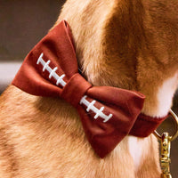 #Modeled by Purdie (40lbs) in a Medium collar and Large bow tie