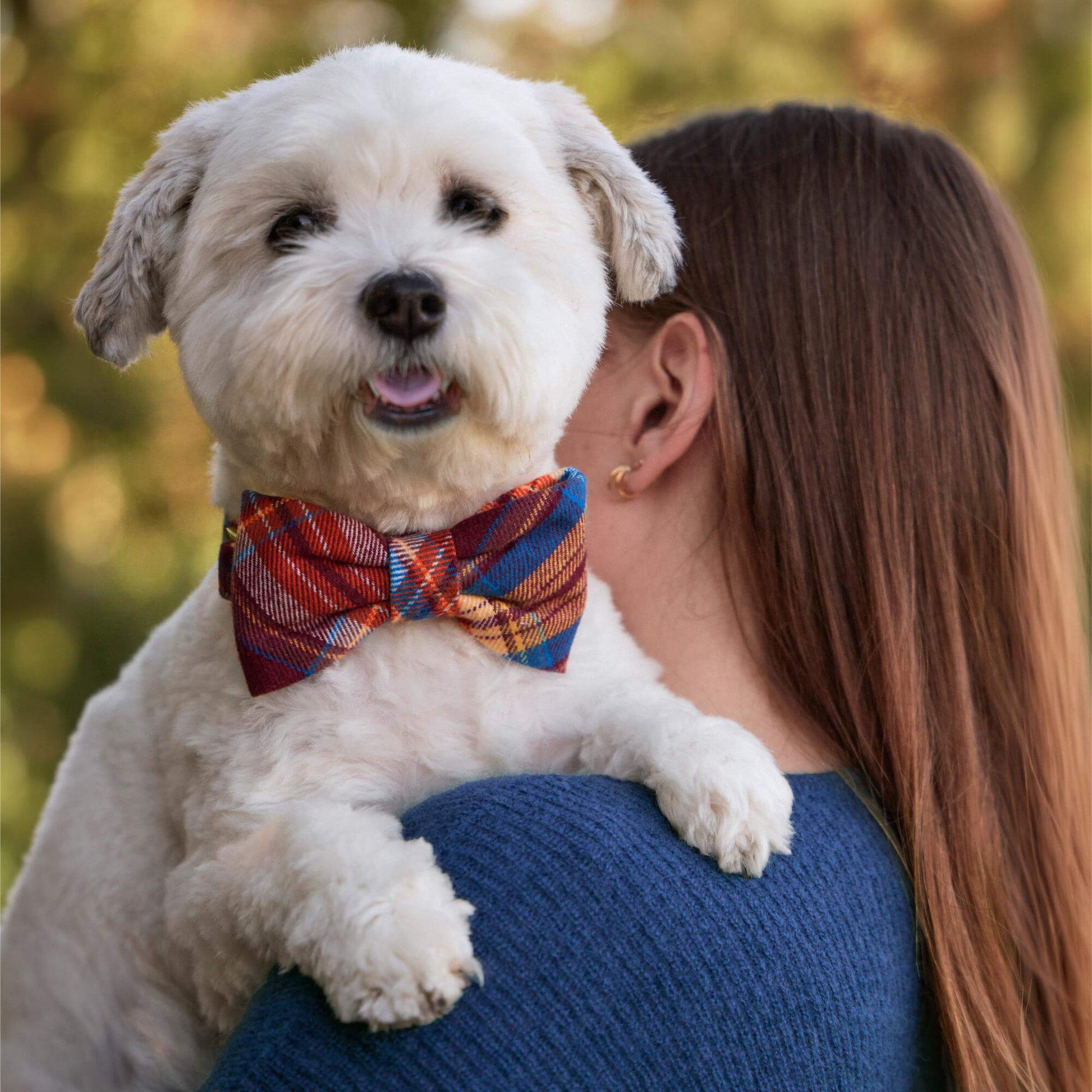 #Modeled by Winnie (17lbs) in a Small collar and Large bow tie