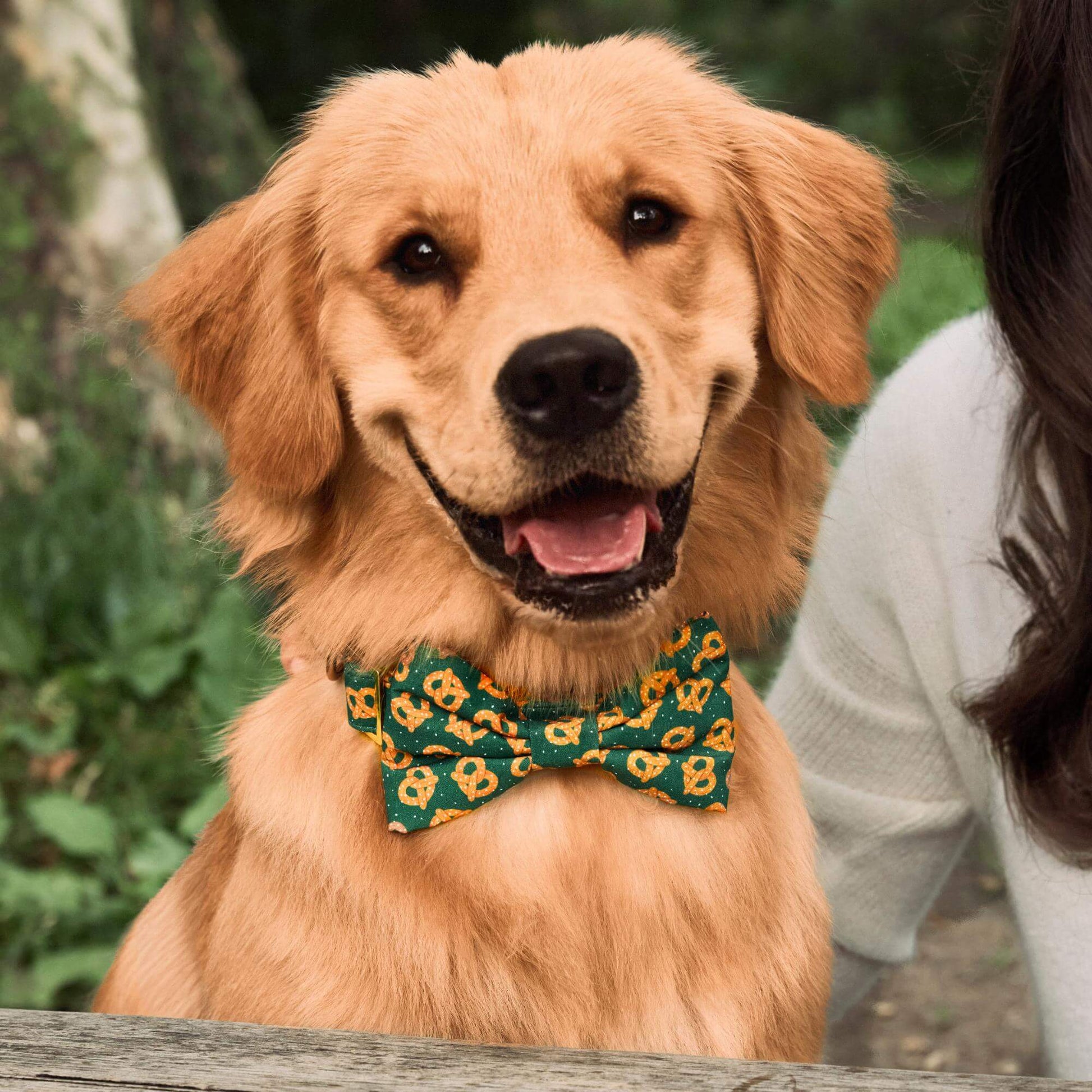 #Modeled by Goose (60lbs) in a Large bow tie