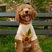 #Modeled by Honey (15lbs) in Medium