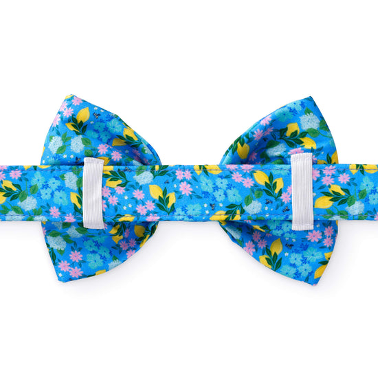TFD x Simplified® Bees in Bloom Dog Bow Tie