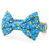 TFD x Simplified® Bees in Bloom Bow Tie Collar