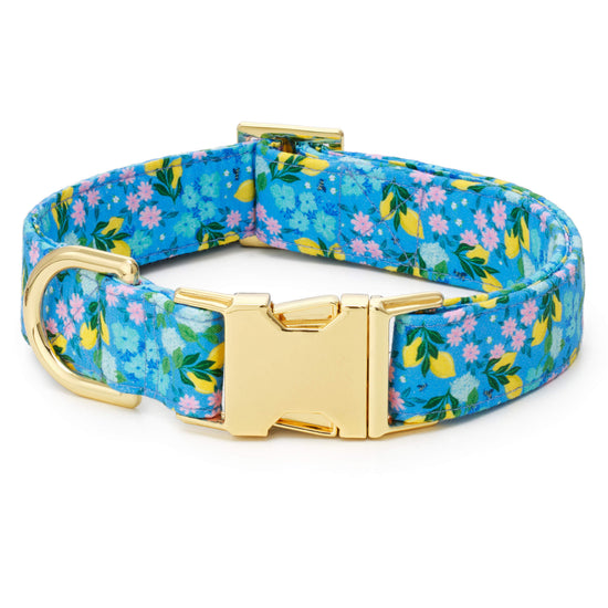 TFD x Simplified® Bees in Bloom Dog Collar