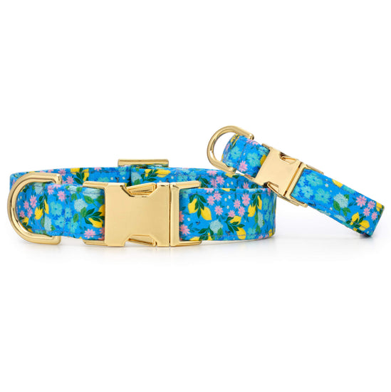 TFD x Simplified® Bees in Bloom Dog Collar
