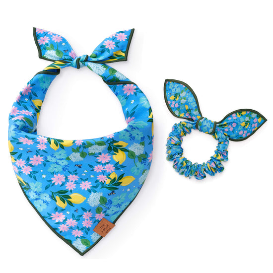TFD x Simplified® Bees in Bloom Scrunchie and Bandana Set