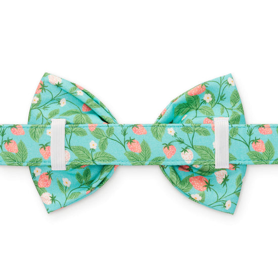 Berry Patch Dog Bow Tie