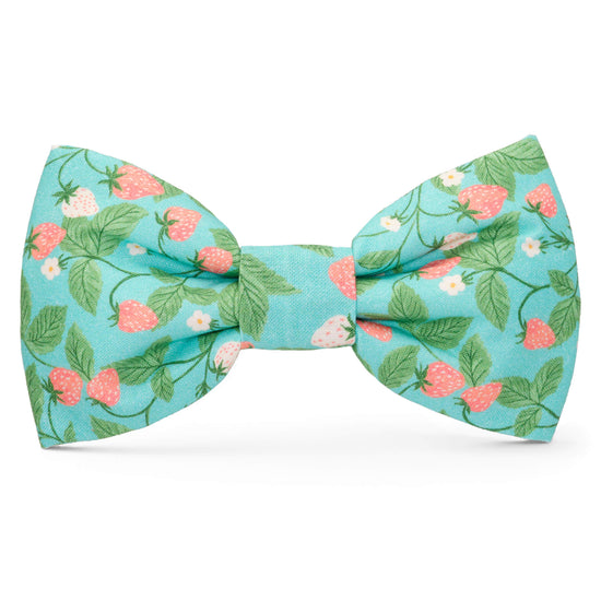 Berry Patch Dog Bow Tie