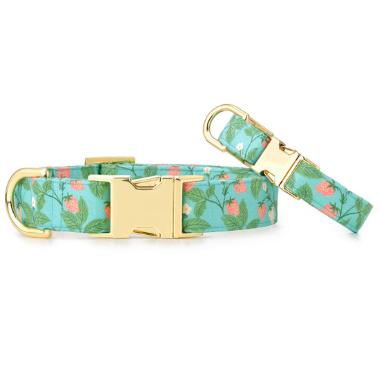 Berry Patch Dog Collar
