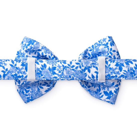 Blue Roses Bow Tie Collar