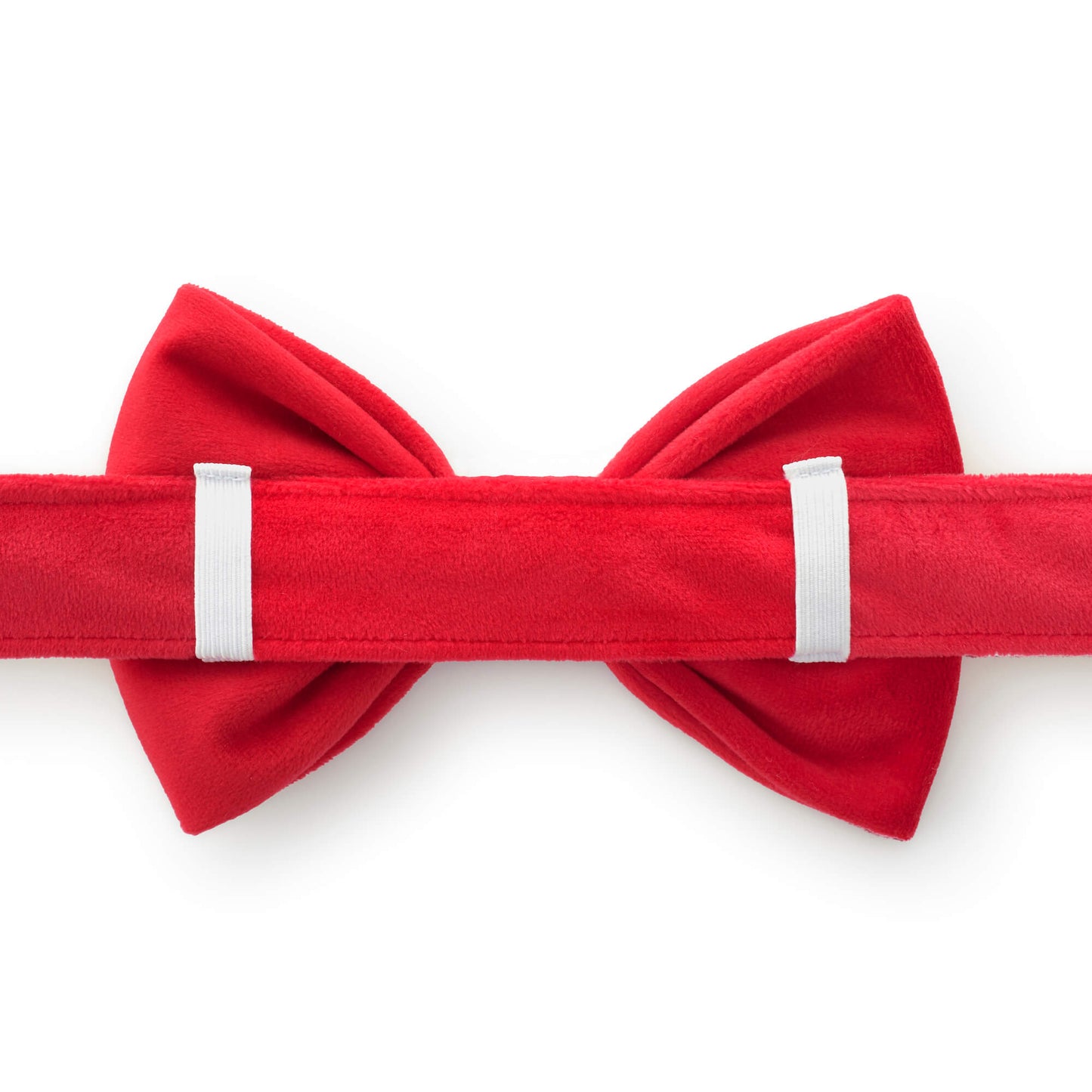 Cranberry Velvet Bow Tie Collar from The Foggy Dog