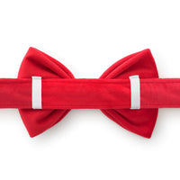 Cranberry Velvet Bow Tie Collar from The Foggy Dog