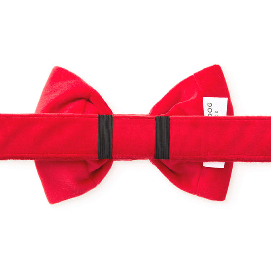 Cranberry Velvet Dog Bow Tie from The Foggy Dog