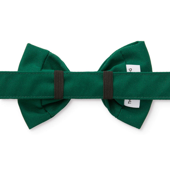 Evergreen Bow Tie Collar from The Foggy Dog