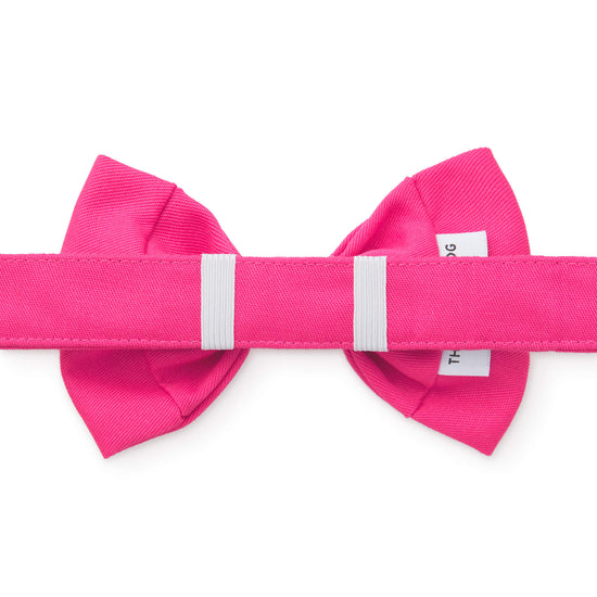 Hot Pink Bow Tie Collar
