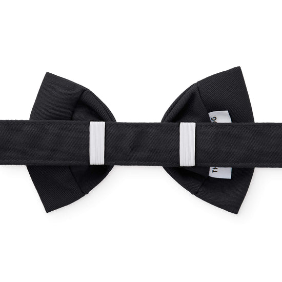 Onyx Bow Tie Collar from The Foggy Dog