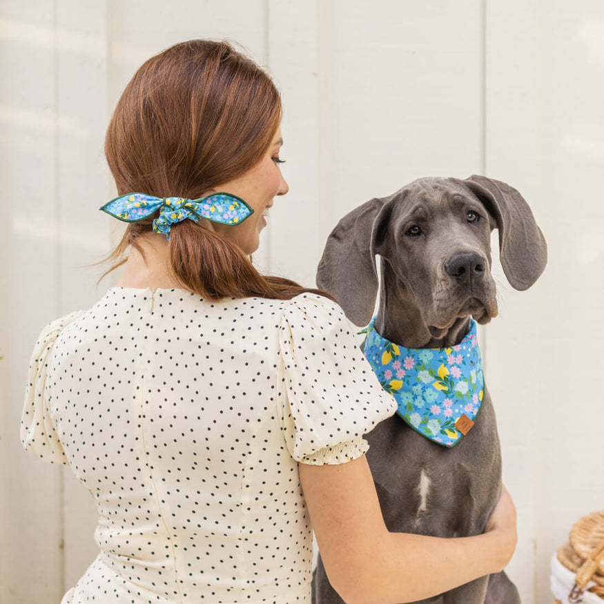 Spring bandana, dog accessories