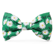 Coming Up Daisies Dog Bow Tie
