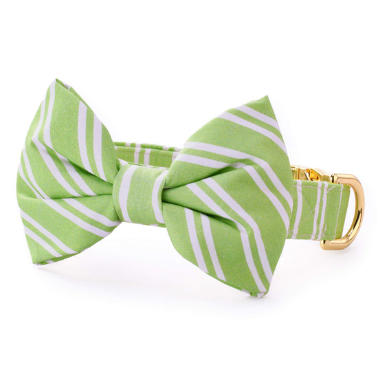 Sprout Stripe Bow Tie Collar