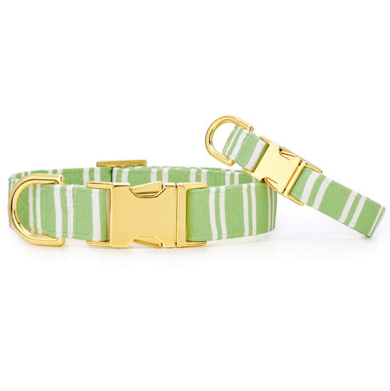 Sprout Stripe Dog Collar