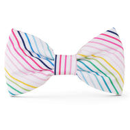 TFD x Simplified® Happy Stripe Dog Bow Tie