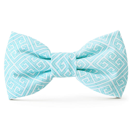 TFD x Simplified® Mint Mandalay Dog Bow Tie