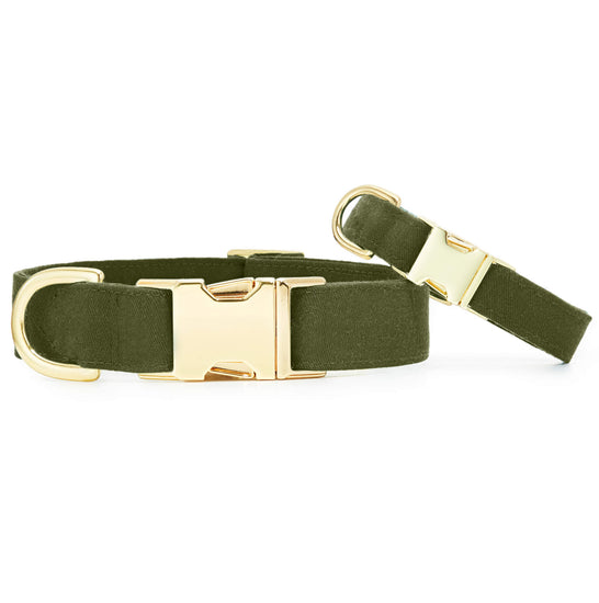 Olive Dog Collar from The Foggy Dog