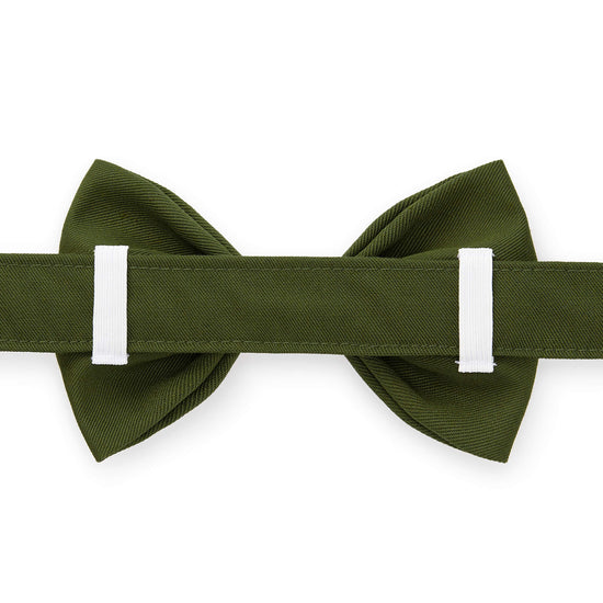 Olive Bow Tie Collar