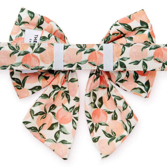 Peaches and Cream Lady Bow Collar from The Foggy Dog