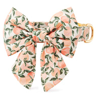 Peaches and Cream Lady Bow Collar from The Foggy Dog