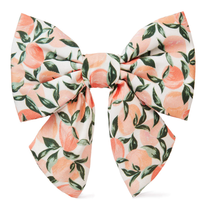 Peaches N Cream Solid Leash main image 0
