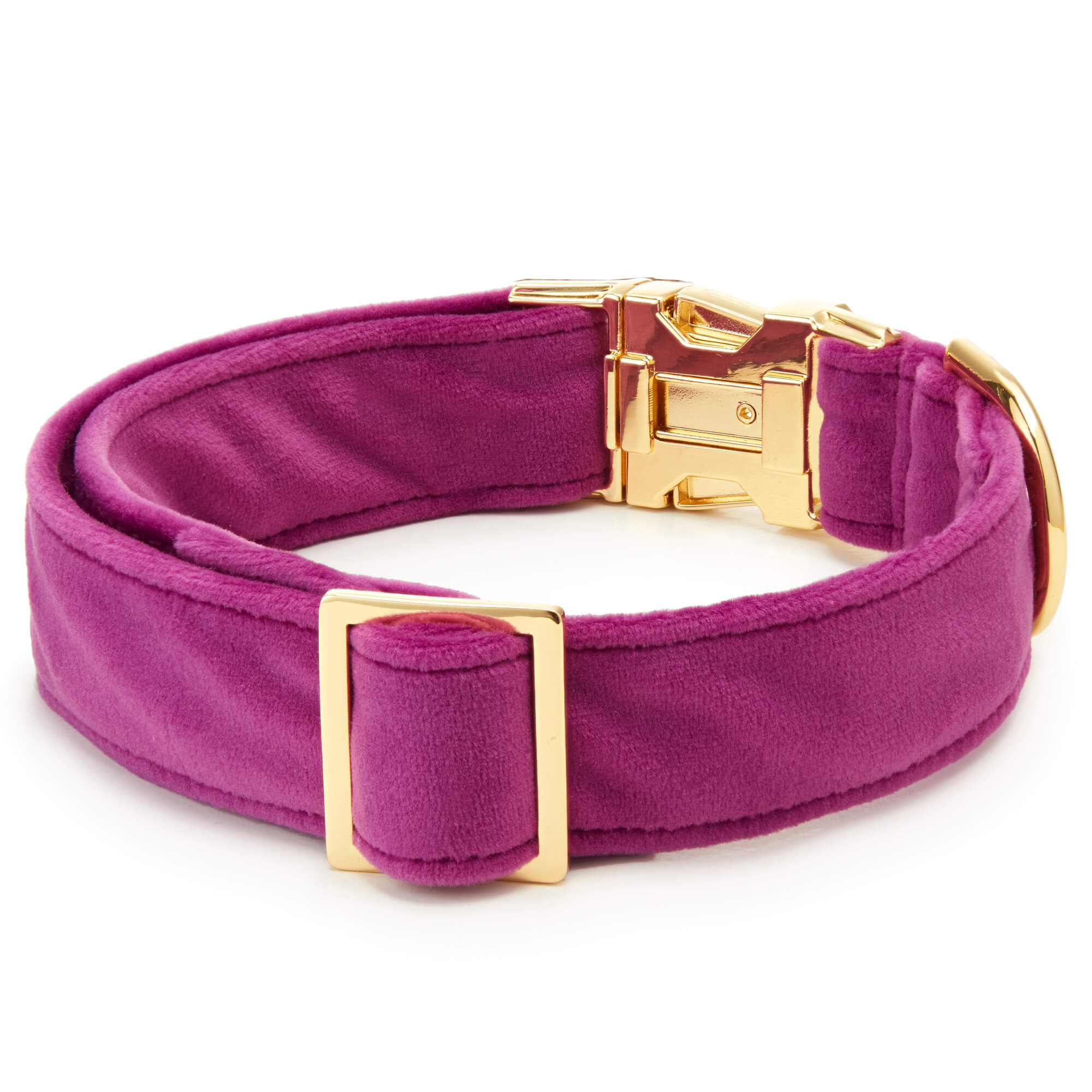 Plum Velvet Dog Collar – The Foggy Dog