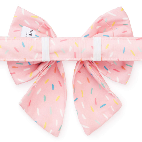 Sprinkles Lady Bow Collar from The Foggy Dog