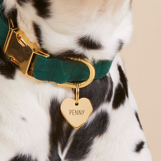 Heart pet ID tag from The Foggy Dog