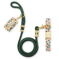Peaches and Cream Collar Walk Set from The Foggy Dog