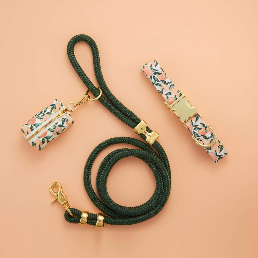 Peaches and Cream Collar Walk Set The Foggy Dog